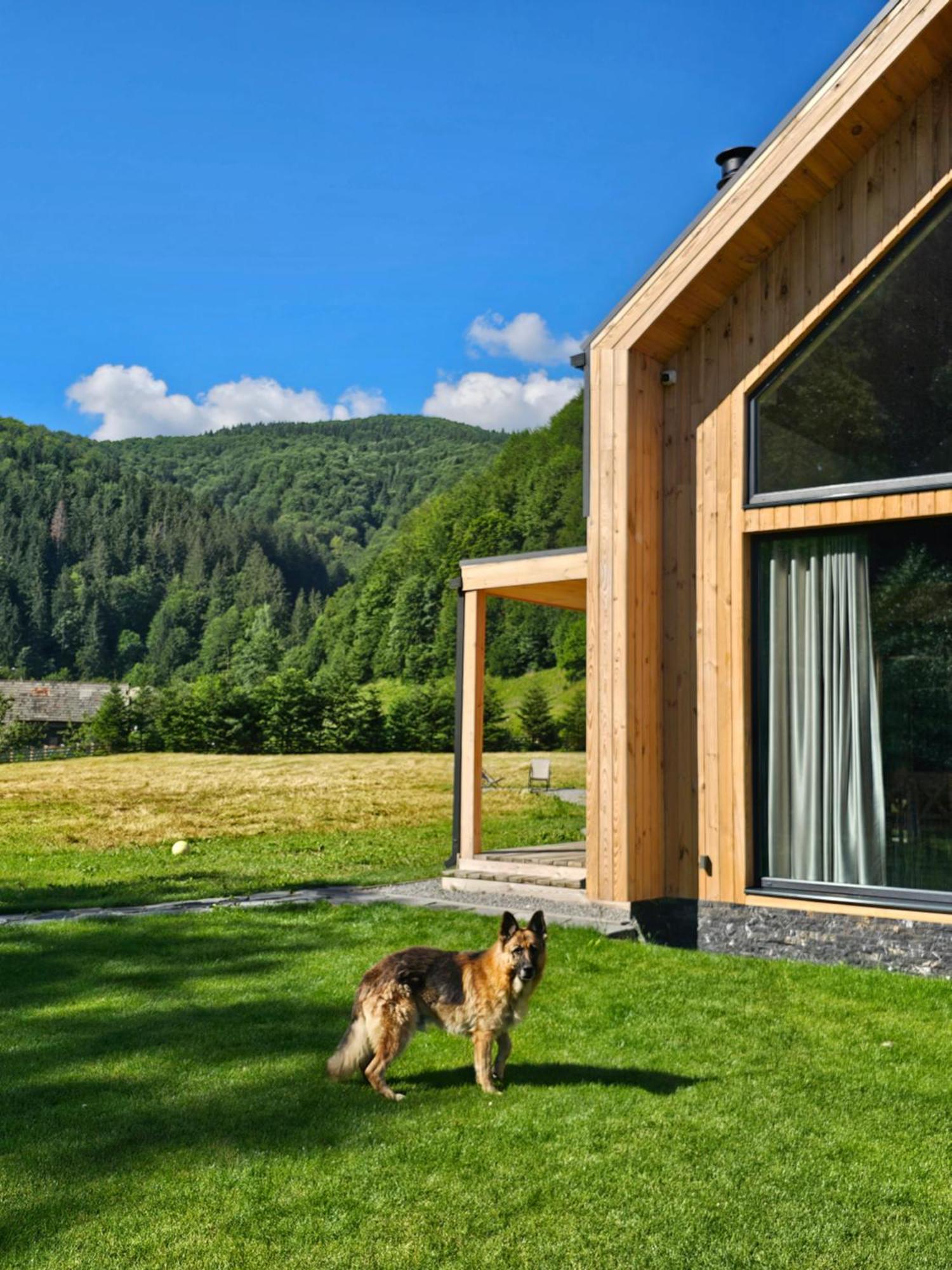Vama Chalet Vama Buzăului Zewnętrze zdjęcie