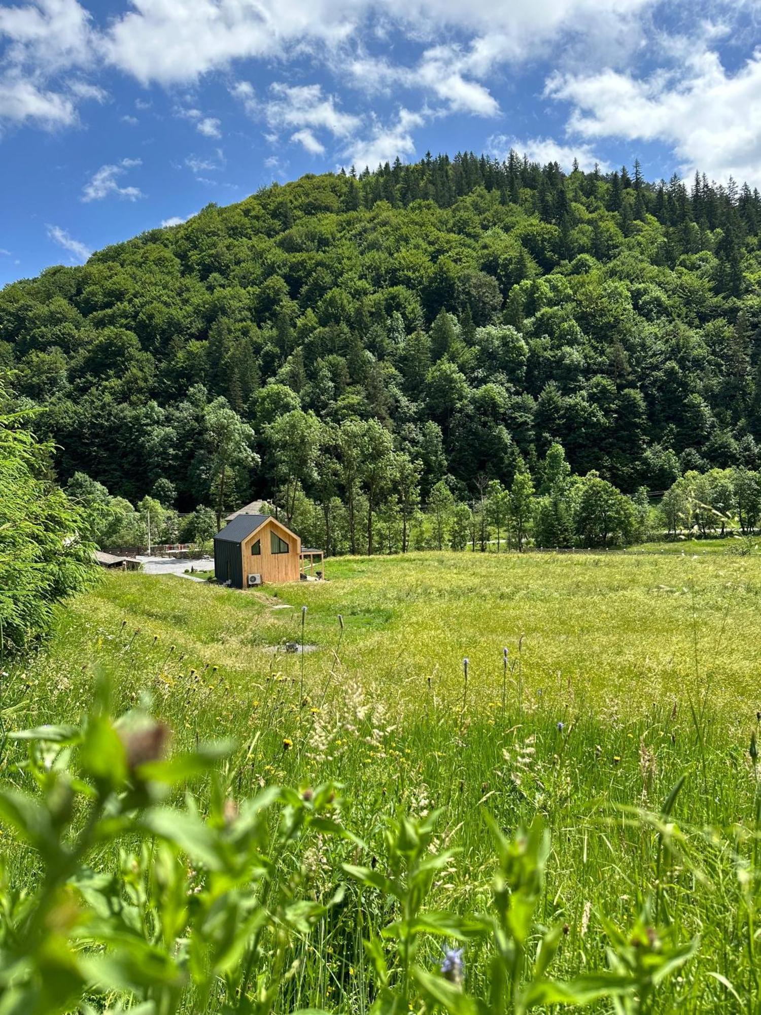 Vama Chalet Vama Buzăului Zewnętrze zdjęcie