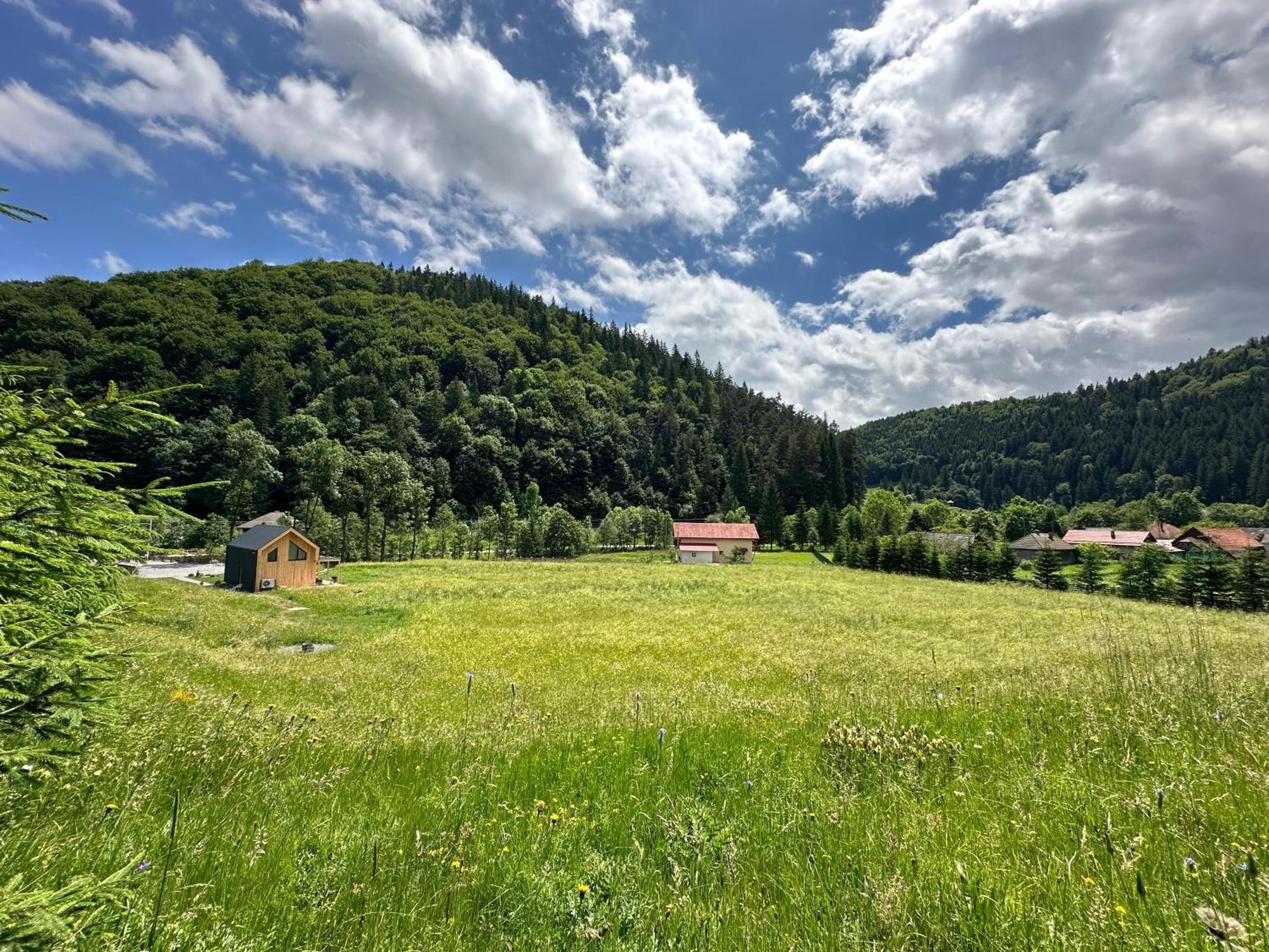 Vama Chalet Vama Buzăului Zewnętrze zdjęcie